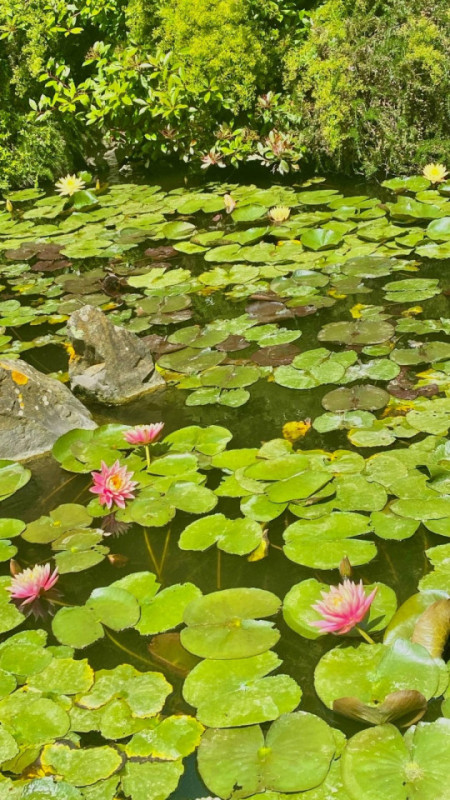 pluche74 toskana lake villa 37