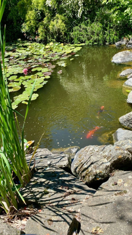 pluche74 toskana lake villa 38