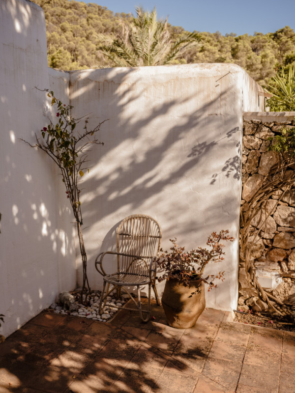 plush74 tropical oasis ibiza 22