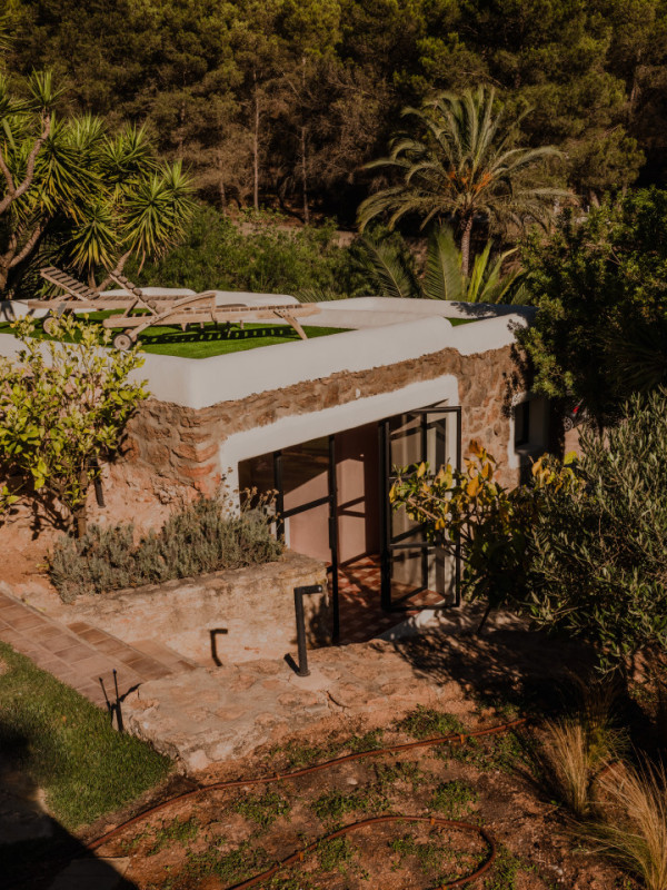 plush74 tropical oasis ibiza 24