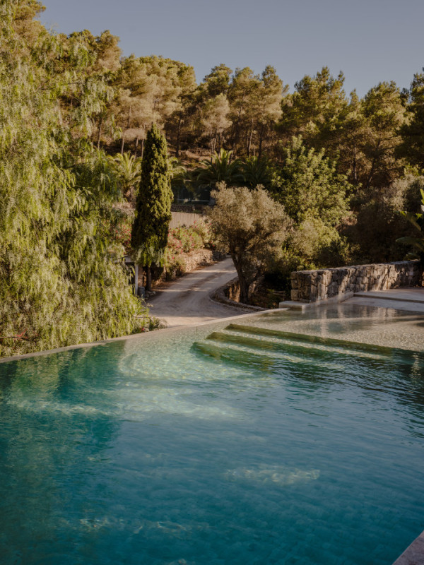 plush74 tropical oasis ibiza 36