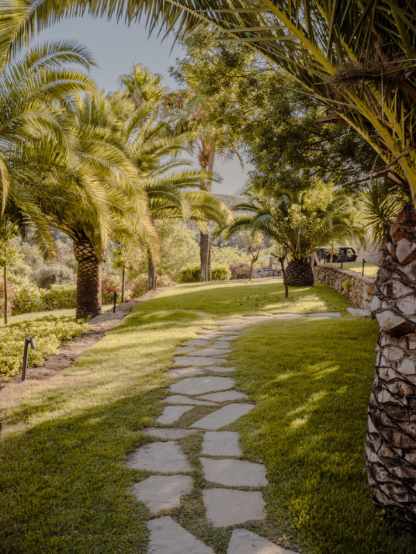 plush74 tropical oasis ibiza 37