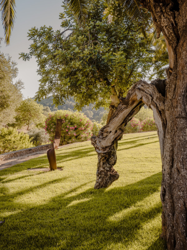 plush74 tropical oasis ibiza 38