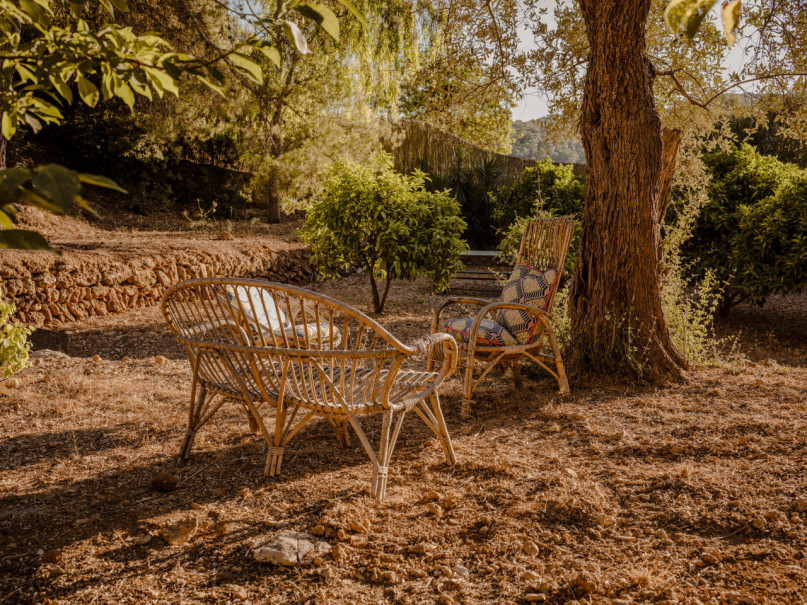 plush74 tropical oasis ibiza 45