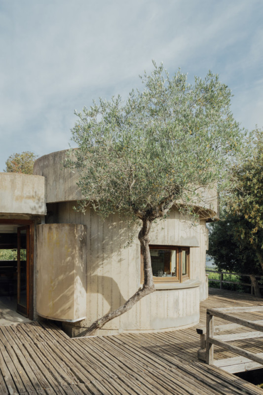 pluche74 turchese 2(1)