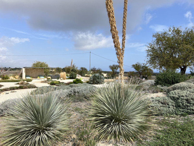 plush74 villa beige sicilia 39(1)