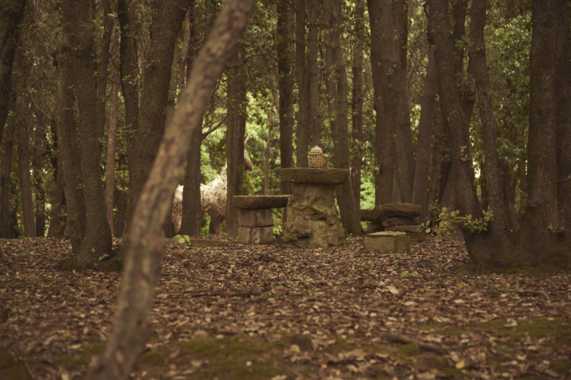 plush74 villa in tuscany 26