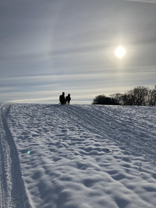 felpa74 villa karpno 23