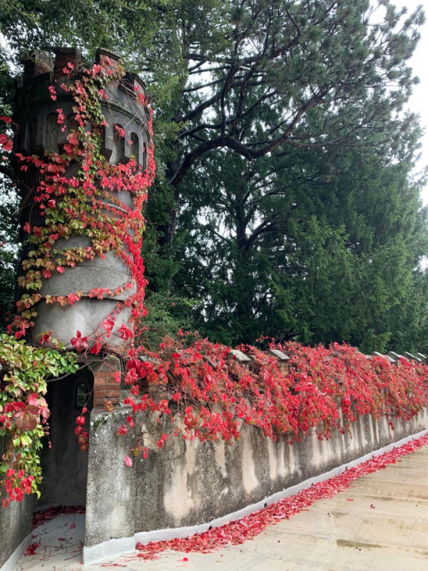 peluche74 villa lucia 37