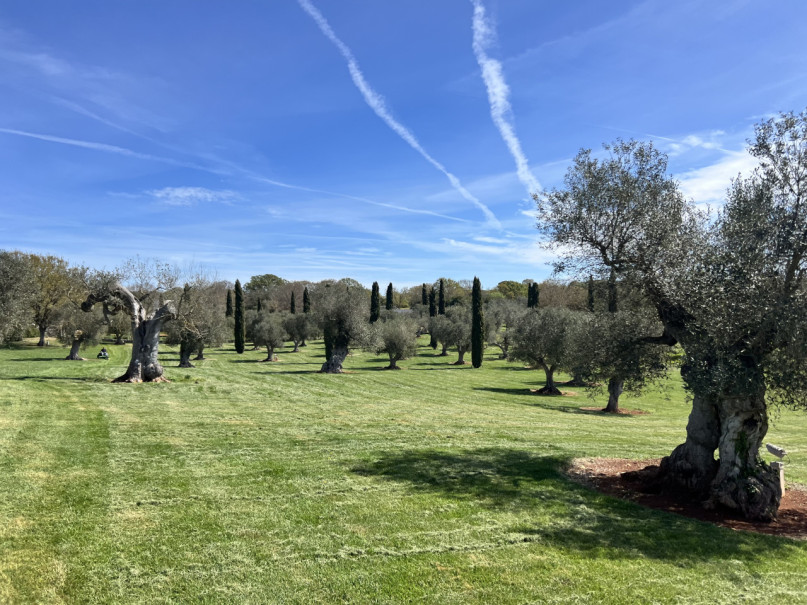 peluche74 villa ostuni 9