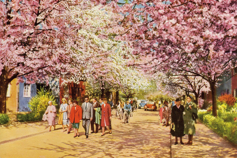 ws 03 hs gesch hs privatarchiv frode o b s 01 1965