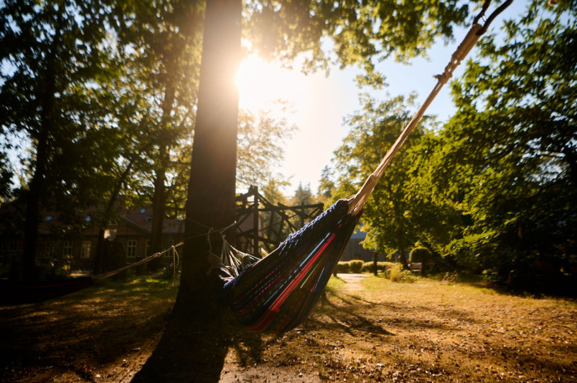 boehmsholz 433 small (1)