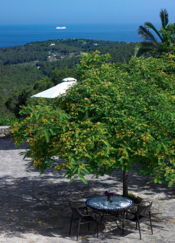 can talaias productions locaitons plush7414