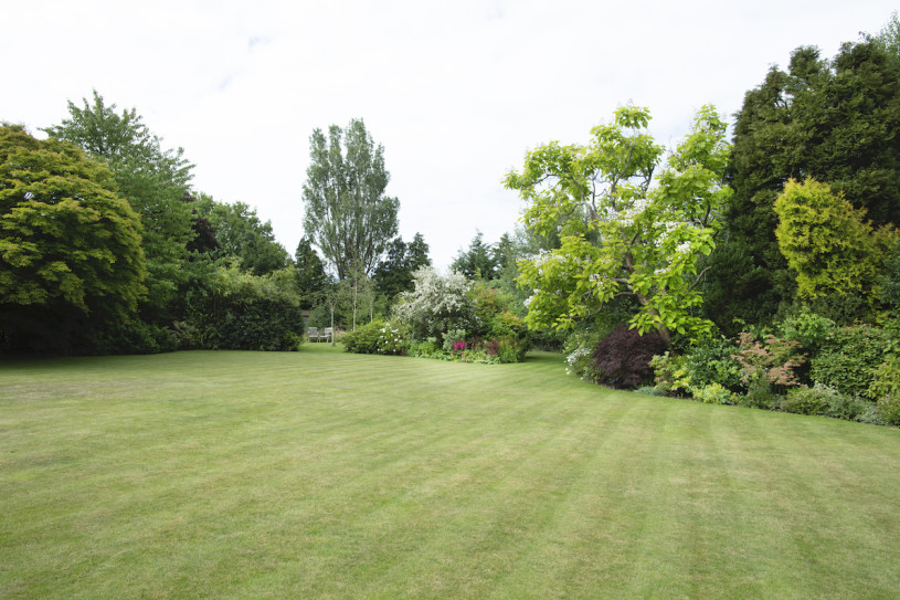 chalfont silverstein plush74 locations uk25