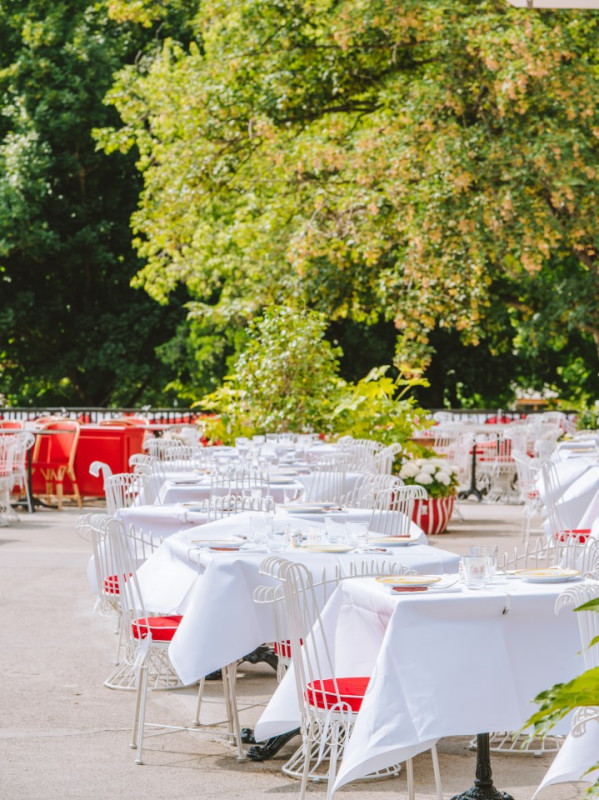 coccodrillo 10 krediet joann pai