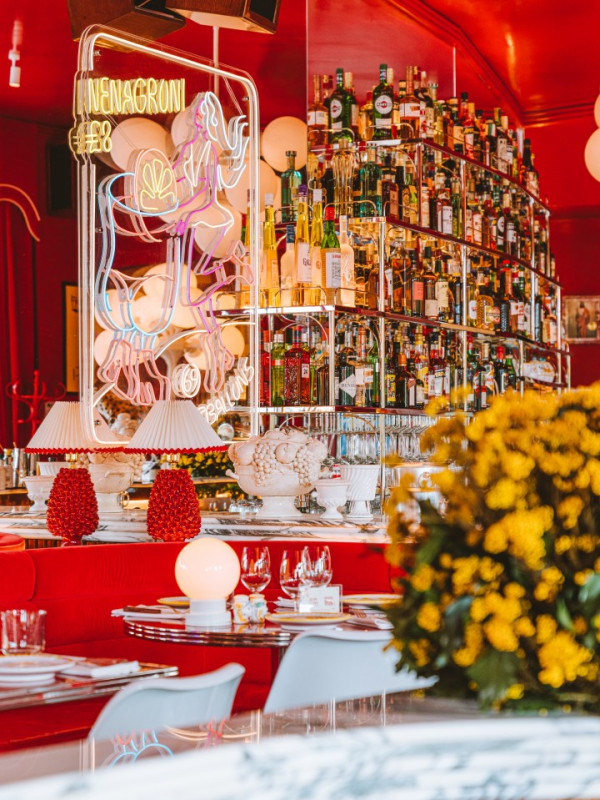 coccodrillo 12 krediet joann pai