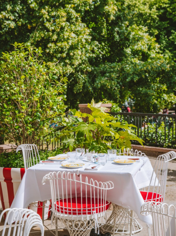 coccodrillo 15 krediet joann pai