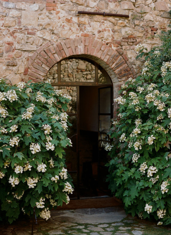 copy of lizdavid0029