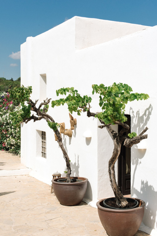 foursome suite c ana lui 00002