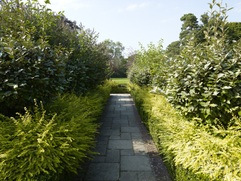 foxleamanor silverstein plush74 locations uk25