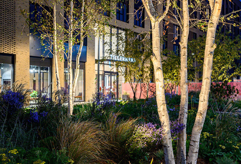 greenfordquay silverstein plush74 locations uk41