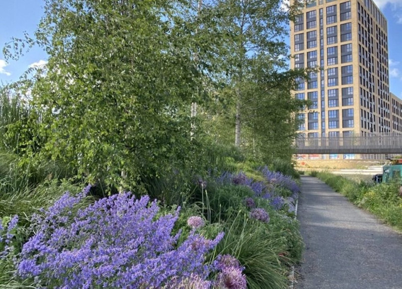 greenfordquay silverstein plush74 locations uk42