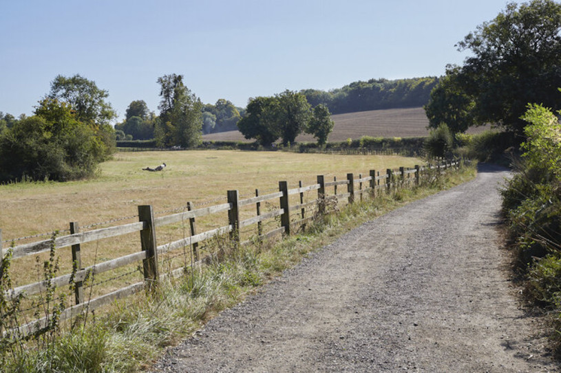 misbournevalley silverstein plush74 locations uk10