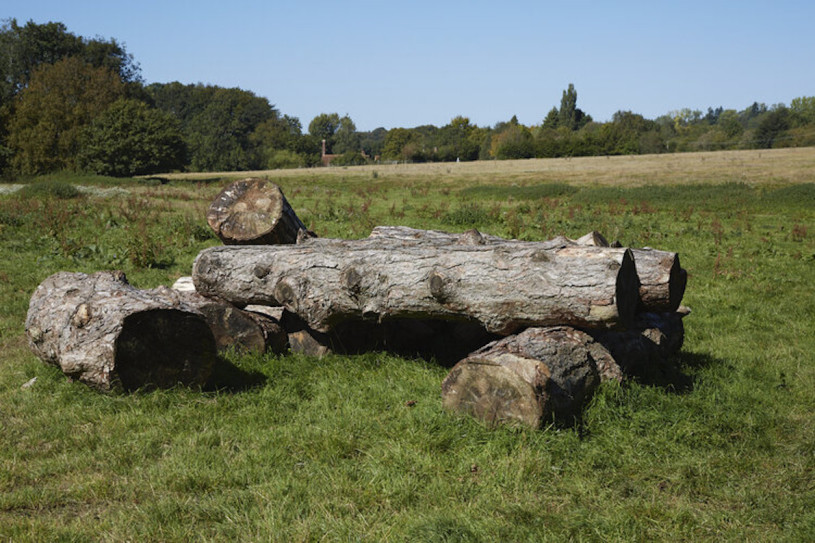 misbournevalley silverstein plush74 locations uk14