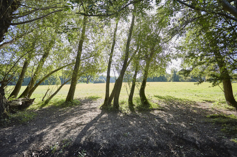 misbournevalley silverstein plush74 locations uk26