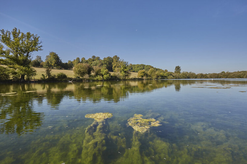 misbournevalley silverstein plush74 locations uk46
