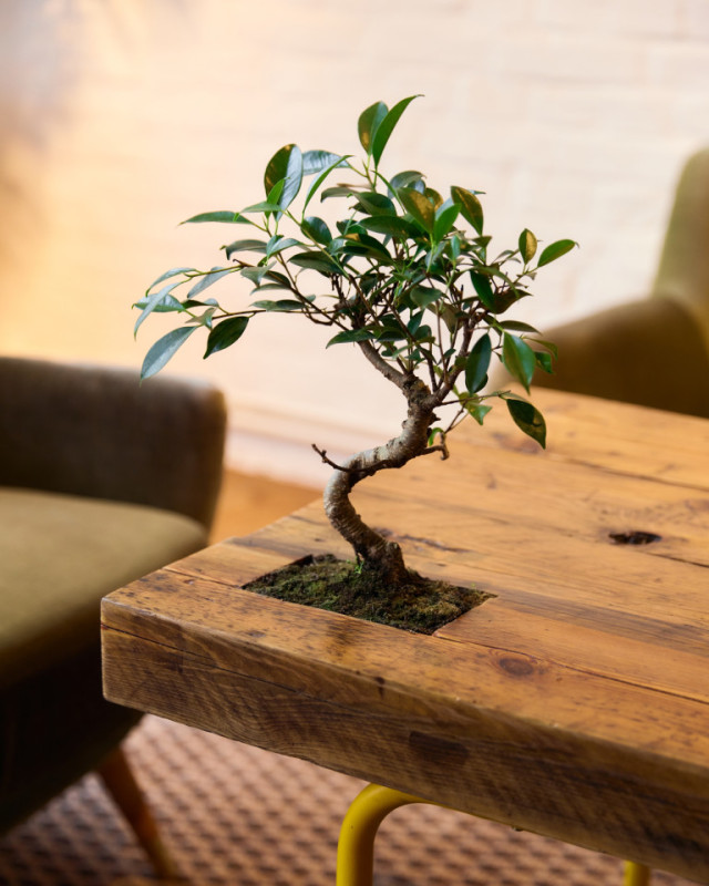 mitose labor3 jh 5 klein