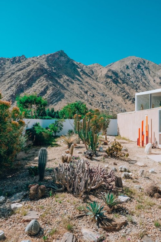 plus74 dessert house usa palmsprings location25
