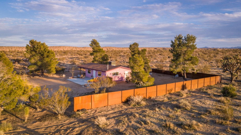 plus74 rose caasita usa joshuatree location29