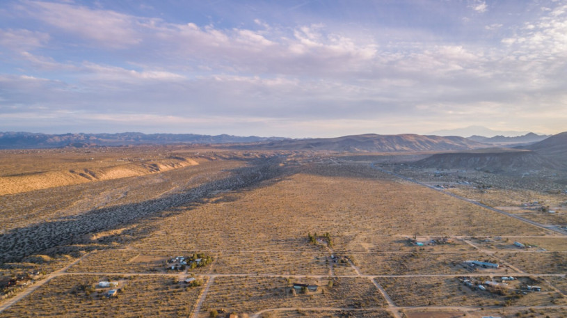 plus74 rose caasita usa joshuatree location30