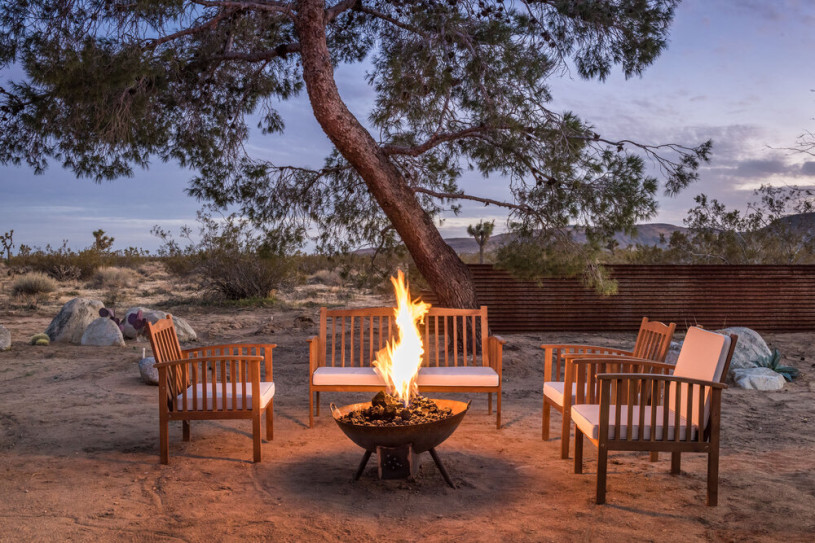 plus74 rose caasita usa joshuatree location32