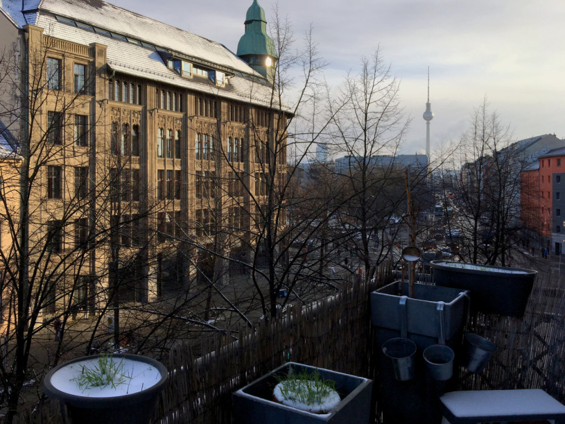 plush 74 berlin home 13114 12