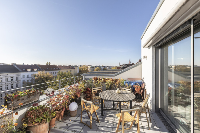 plush 74 pagelius 24573 12