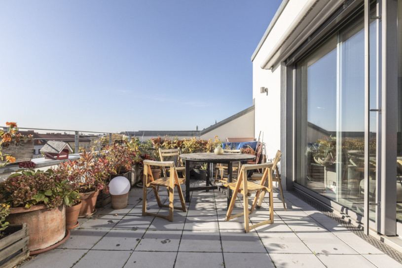 plush 74 pagelius 24573 6