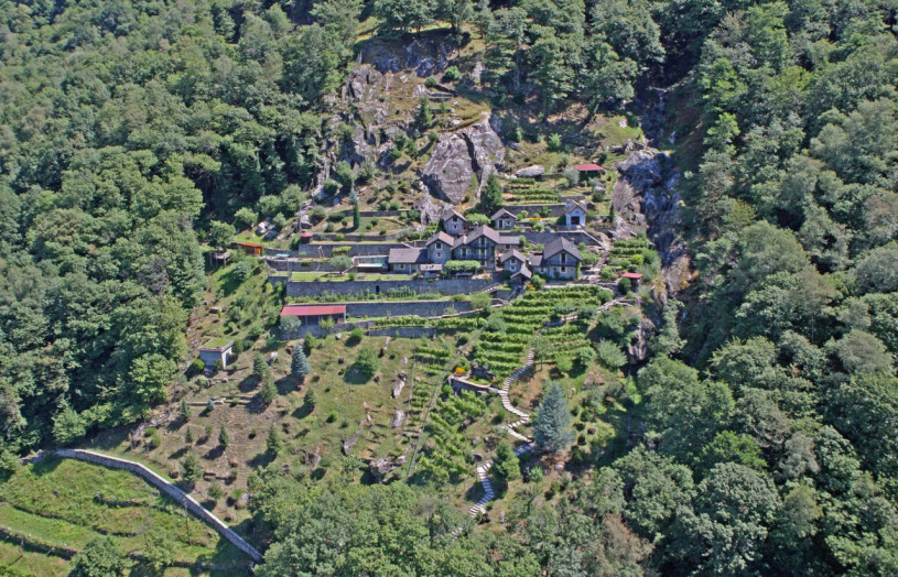 plush 74 rodino 97289 10