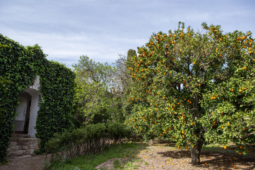 plush74 Herrenhaus aus dem 17. Jahrhundert 32