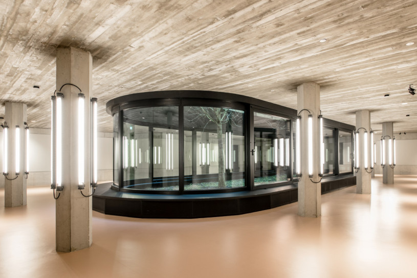 plush74 achtberlin atrium 2