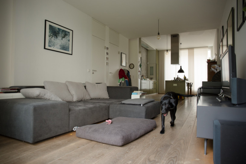 plush74 apartment pappelallee 5