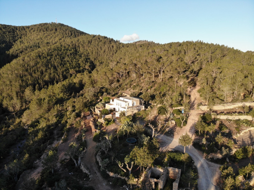 peluche74 artista casale ibiza 26