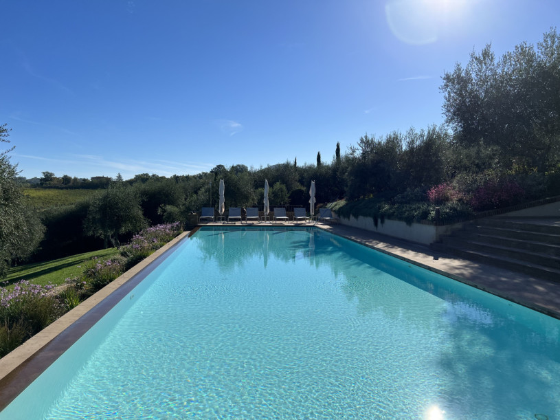 plush74 beneficio 13(1)