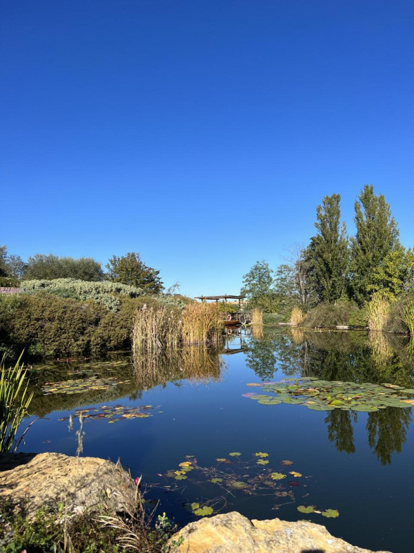 plush74 beneficio 14(1)