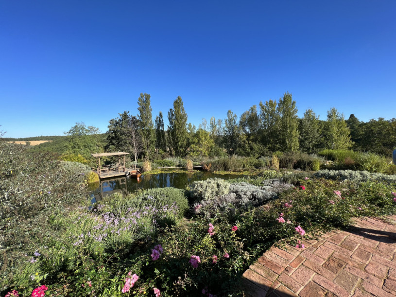 plush74 beneficio 15(1)