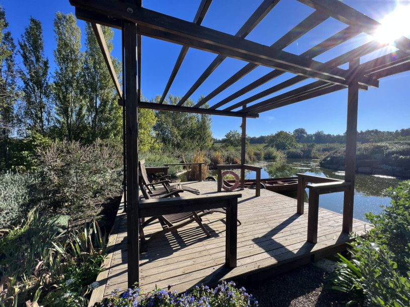 plush74 beneficio 16(1)