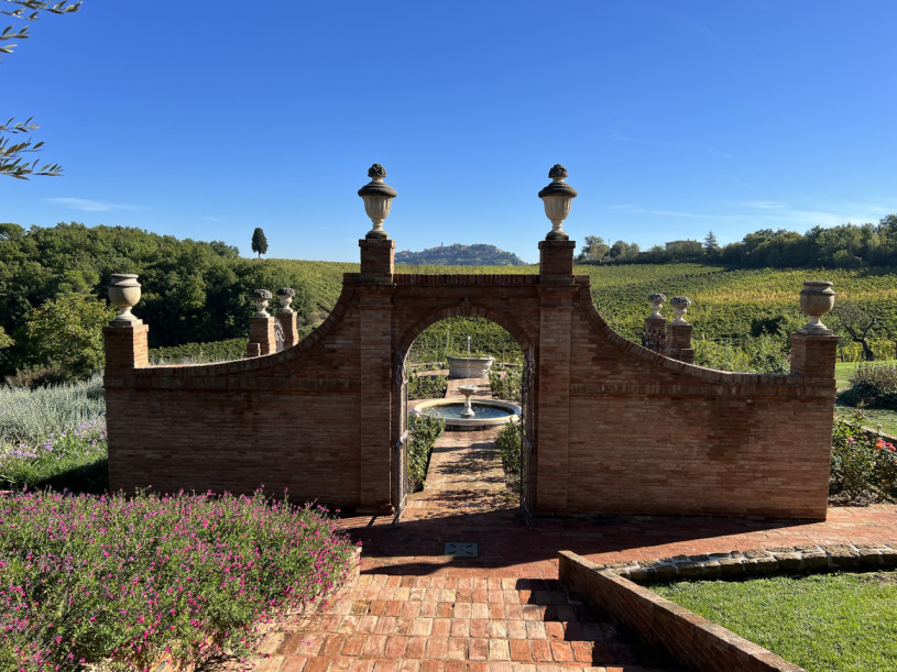 plush74 beneficio 22(1)