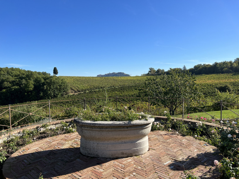 plush74 beneficio 25(1)