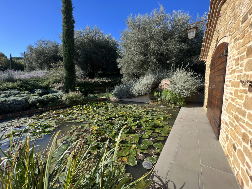 plush74 beneficio 28(1)